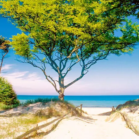 Apartment Sanddorn, Seegras *