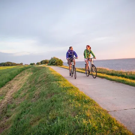 Sanddorn, Seegras Prerow