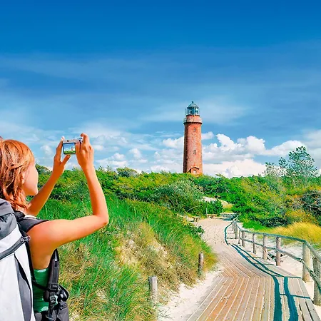 Sanddorn, Seegras * Prerow