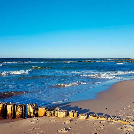 Sanddorn, Seegras Apartment Prerow