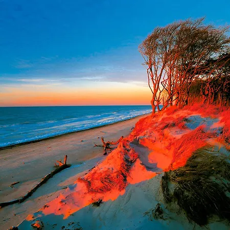 Sanddorn, Seegras * Prerow